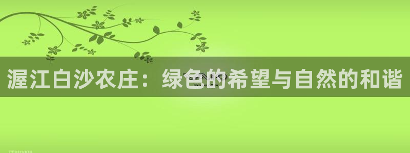 金年会吧
