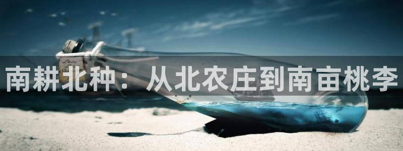 金年会体育娱乐