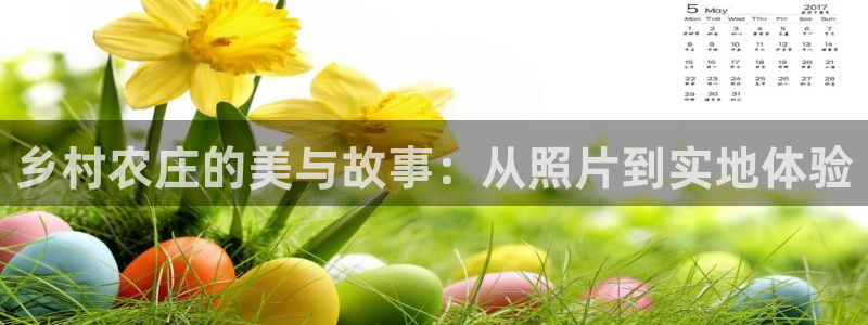 金年会拼音