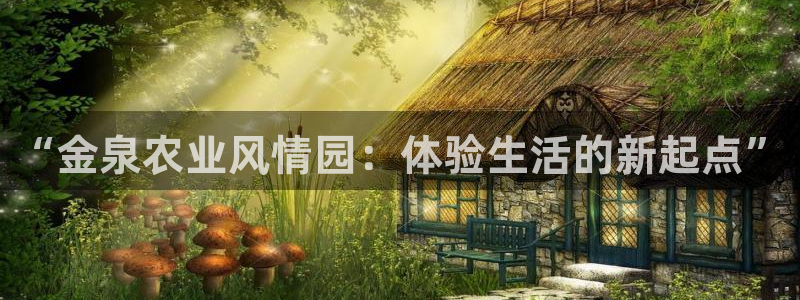 金年会金年华
