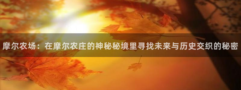 金年会安装