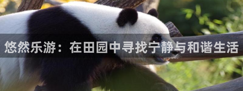 金年会101