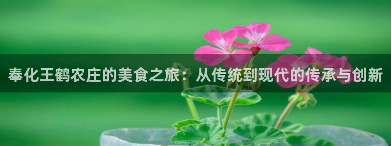 金年会是赌博的吗