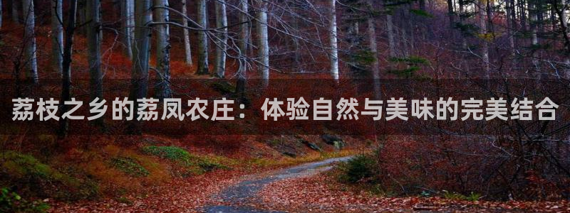 融通金年会