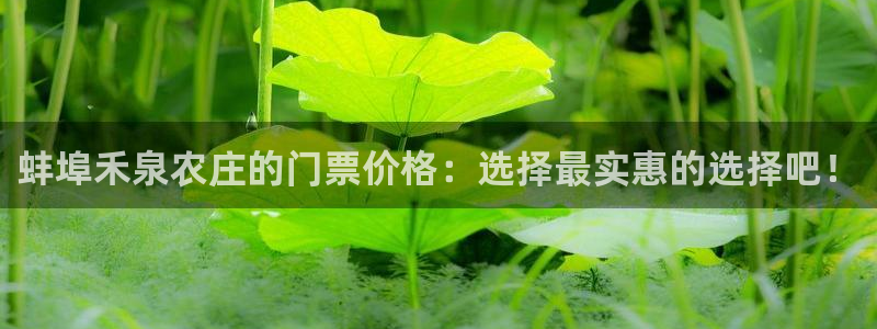 金雅陶瓷年会现场
