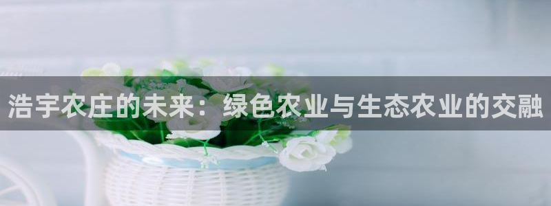 金年会体育金年会官网
