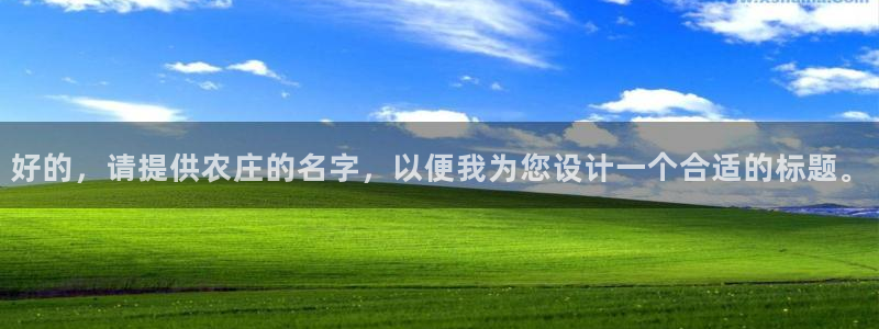 金年会体育app官网