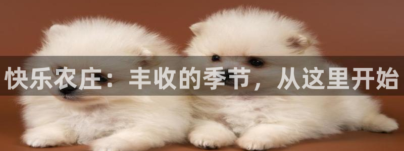 金年会嗨聊app下载