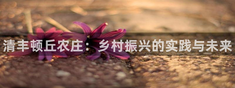 金年会官网地址