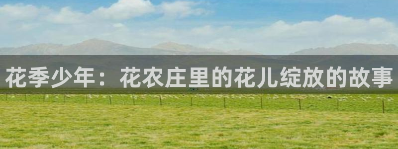 金年会体育金年会官网
