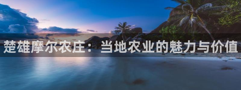 金年会手机网页登录