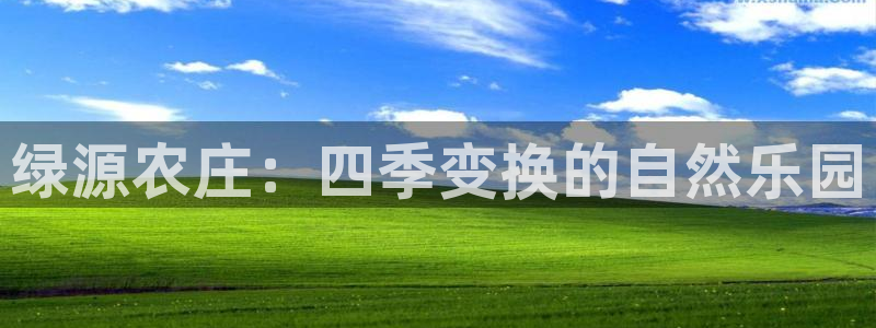 金年会是赌博的吗