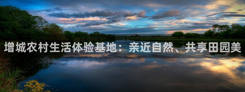 金年会网官网新版