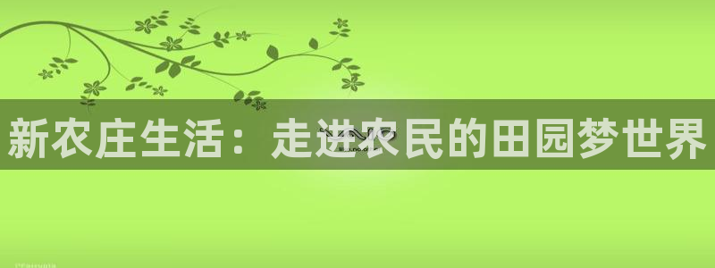 今年会金年会