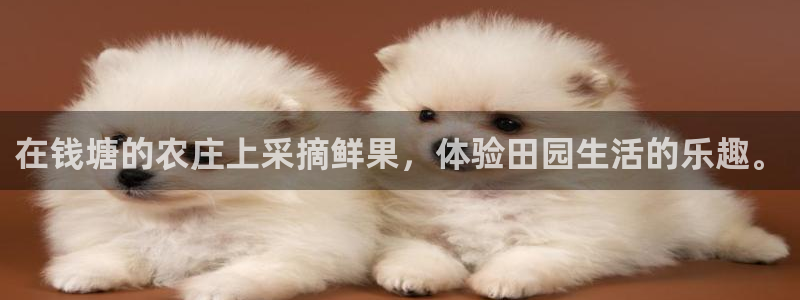 金年会手机网页登录