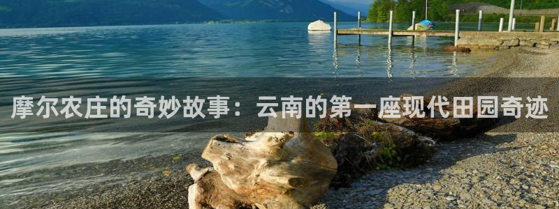 金年会体育平台在线登录