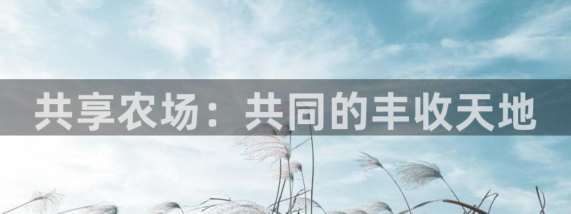 金年会娱乐提现