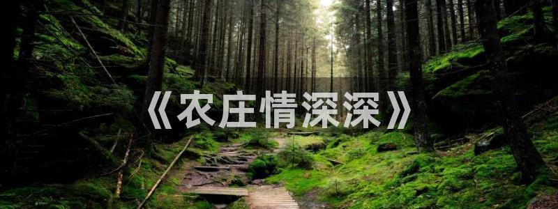 金年会首页登录