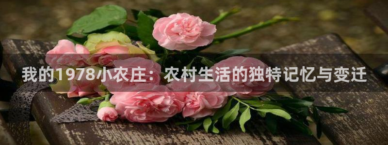 金年会体育平台官网