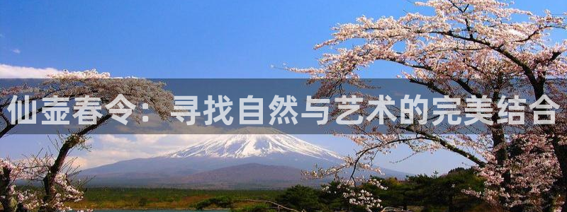 世界杯金年会app下载