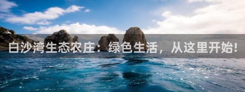 金年会手机官网