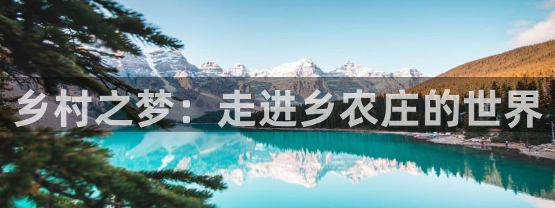 金年会体育平台入口