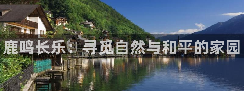 金年会 信誉至上