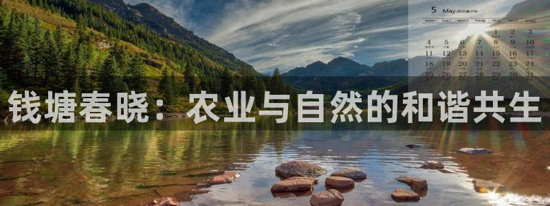 金年会是正规平台吗