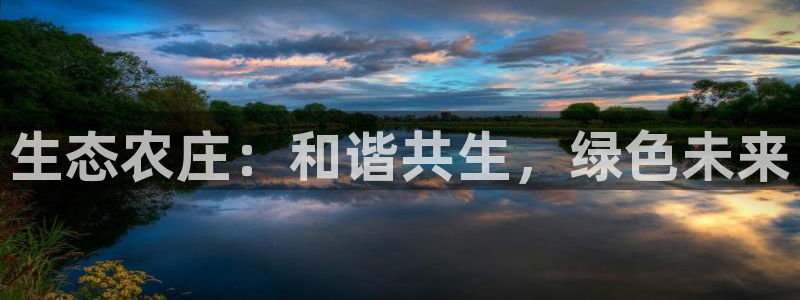 金年会是正规的吗