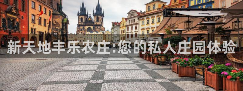 金年会体育金年会官网