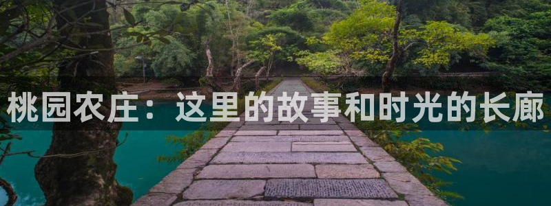 金年会体育官方网站入口