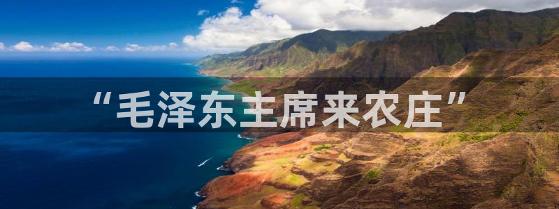 金年会是正规的吗