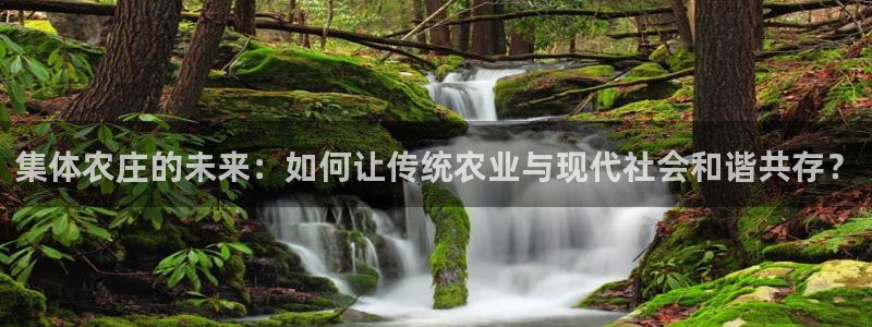 金年会体育平台