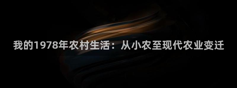 金年会体育官方网站入口