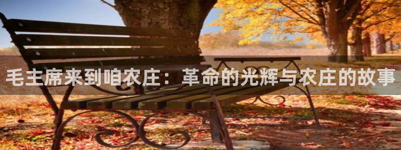 金年会彩票软件