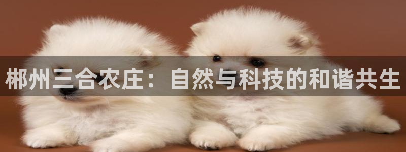 金年会体育官方