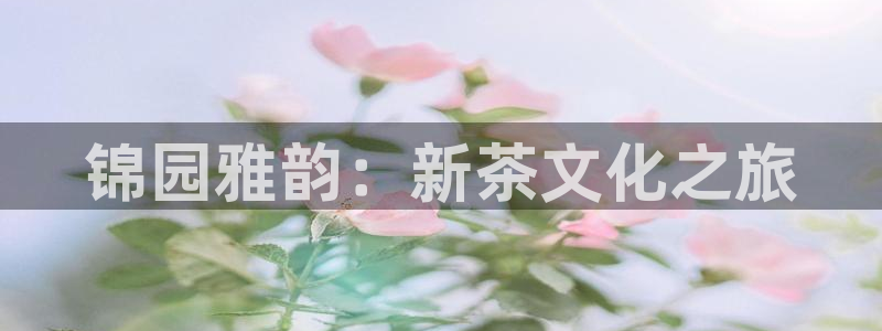 金年会平台包赔