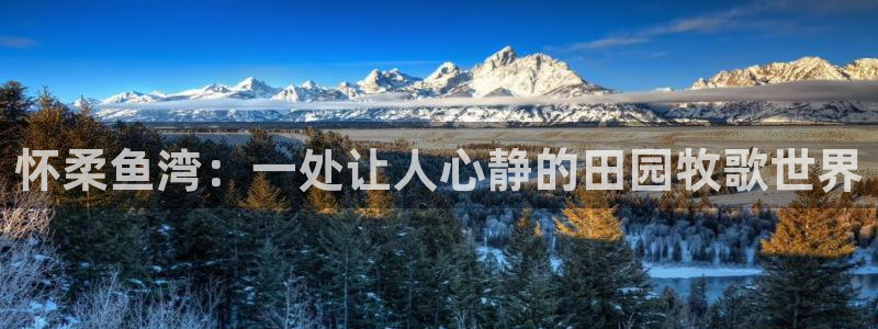 金年会体育金年会官网