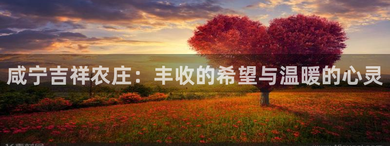 金年会官方网站登录