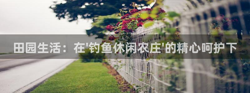 金年会金字招牌诚信至上