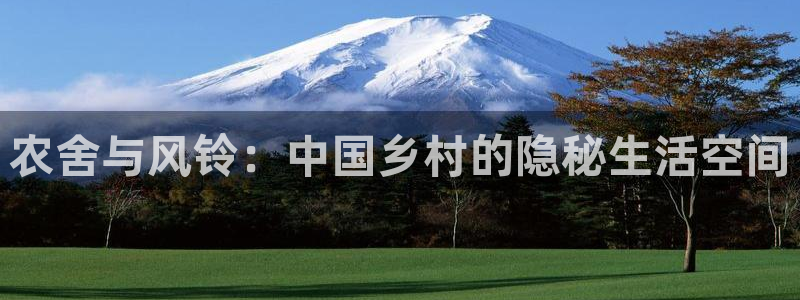 金年会体育官方网站