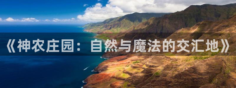 金年会官方客服