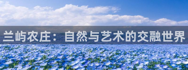 金年会最新官网