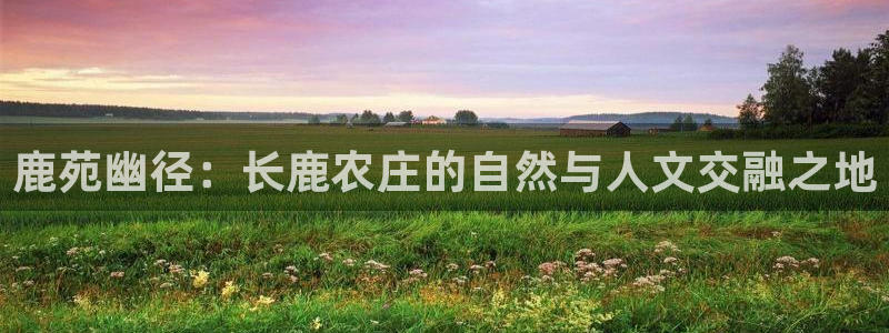 金年会嗨聊app下载