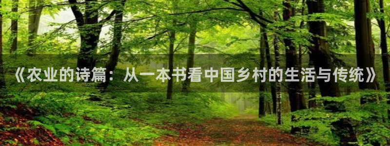 金年会活动策划