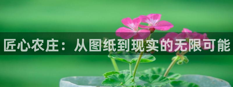 金年会最新登录网站