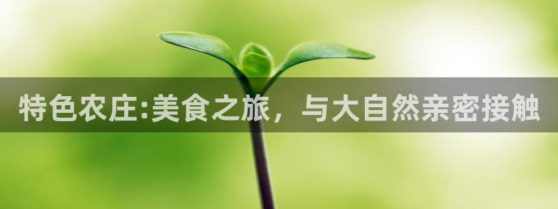 金年会官网登入