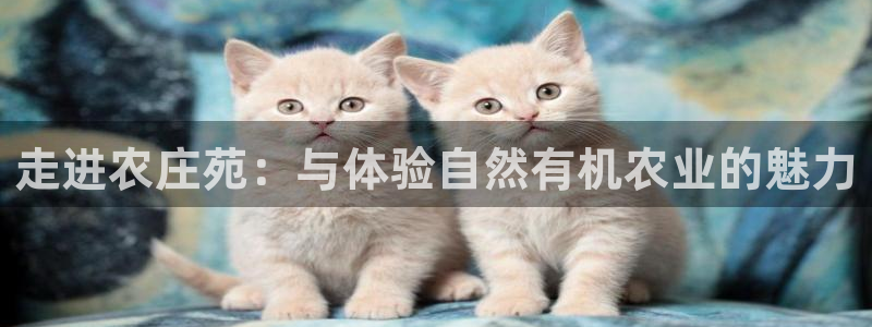 金年会最新下载