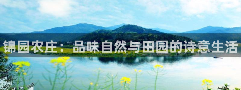 金辉城年会视频