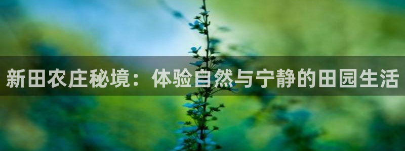 金年会金字招牌信誉